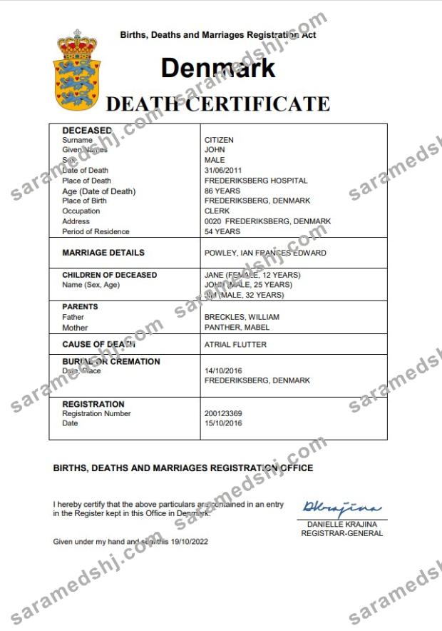 Denmark vital record death certificate Word and PDF template